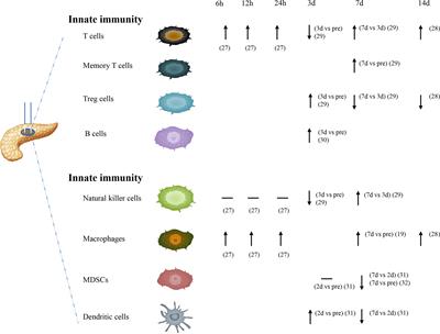 Immunomodulatory Effect of Irreversible Electroporation Alone and Its Cooperating With Immunotherapy in Pancreatic Cancer